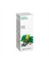 REAL PAP FRESCA 30G