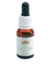 BLUEBELL GOCCE 15ML
