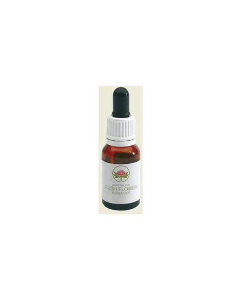 JACARANDA AUSTRALIAN 15ML GTT