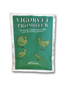 VIGORVET PROMOTER 100G