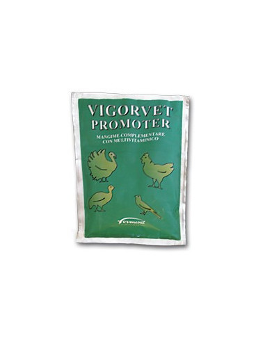 VIGORVET PROMOTER 100G