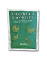VIGORVET PROMOTER 100G