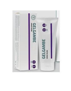 LFP GELGAMBE GINKGO 100ML