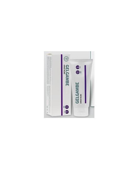 LFP GELGAMBE GINKGO 100ML