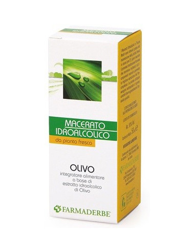 OLIVO MACERATO IDROALCOLICO