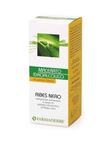 RIBES NERO MACERATO IDROALCOLI