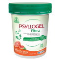 PSYLLOGEL FIBRA ARA ROS VASO