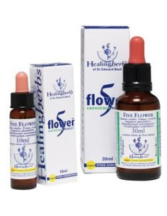 PSYLLOGEL BEET FIBRE 20BUST