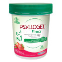 PSYLLOGEL FIBRA FRAGOLA VASO