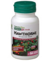 HERBAL-A BIANCOSPINO