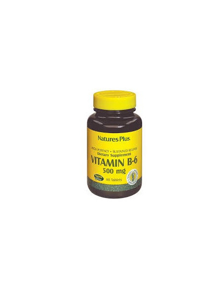 VITAMINA B6 PIRIDOSS 500
