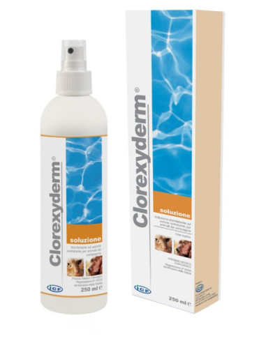 CLOREXYDERM SOL 250ML