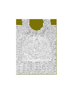 COLLARE TRAF+PROT U AZ 1+P BI