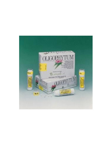 SIMBIOSISTEM 20BUSTE