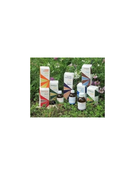 RAEMIL D1 ARTIGL DIAV COMP 50M