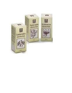 ECHINACEA EANALCO 50ML 813