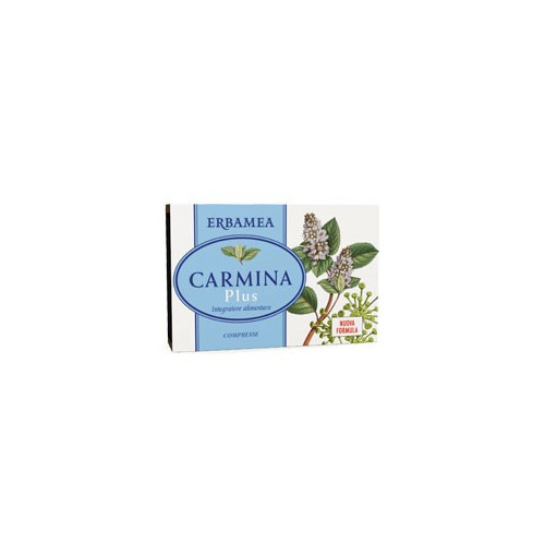 CARMIN PLUS 24CPR 19,2G