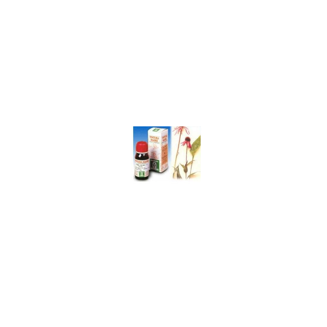ECHINACE 59 50ML TM