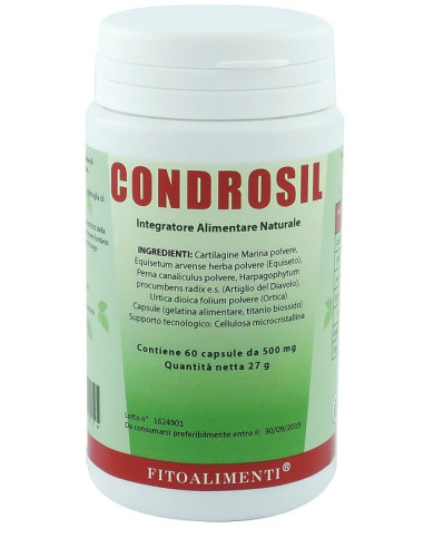 CONDROSIL 60CPS