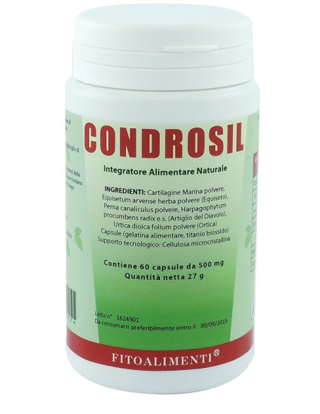 CONDROSIL 60CPS