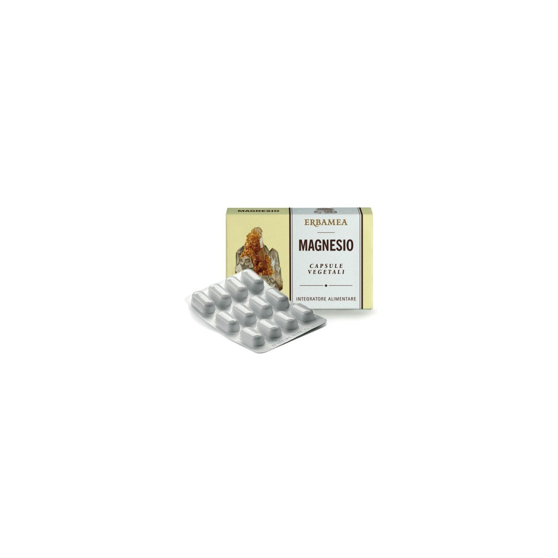 MAGNESE 24CPS 1200MG