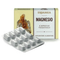 MAGNESE 24CPS 1200MG