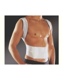 NEW EDGE 576 RADDRIZZASP S