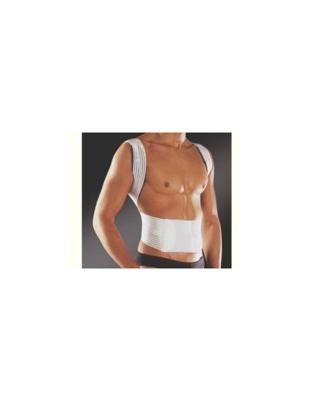 NEW EDGE 576 RADDRIZZASP S