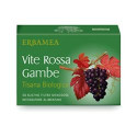ROSSA GAMBE TISANA BIO