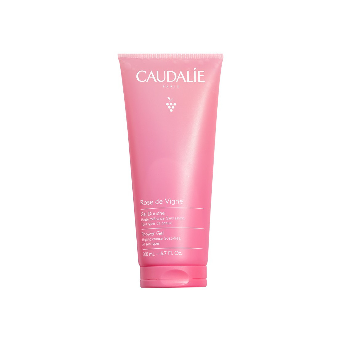 GEL STEEL ROSE 200ML 2022