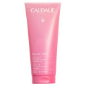 GEL STEEL ROSE 200ML 2022
