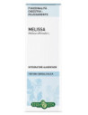 MELISSA FGL TINT IAL 50ML EBV
