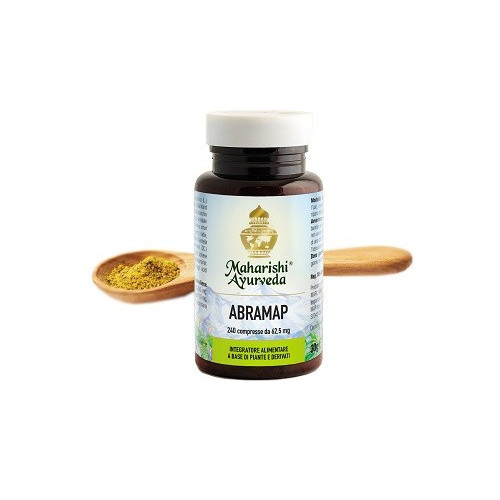 ABRAMAP 240CPR