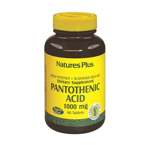 PANTOTENTIAL ACIDO 1000 MG