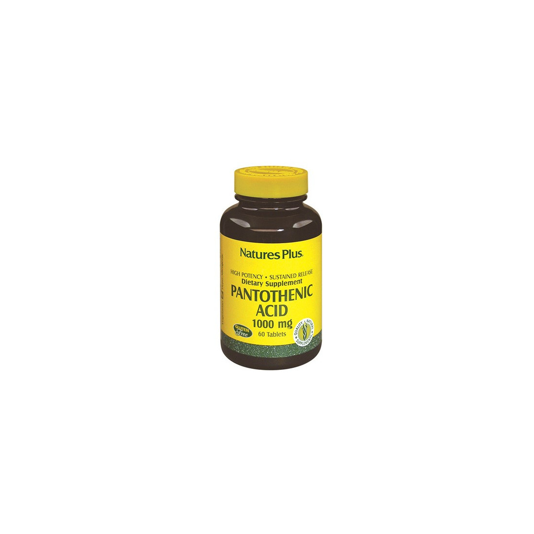 ACIDO PANTOTENICO 1000 MG