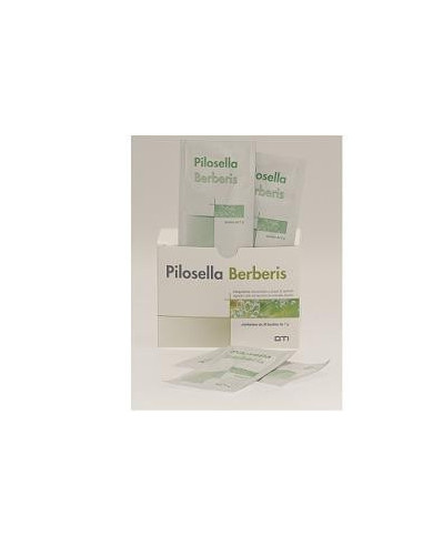 PILOSELLA BERBERIS 30BUST