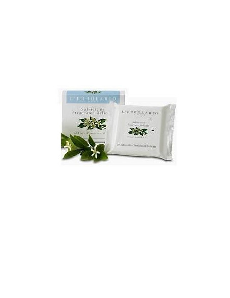 SALVIETTE STRUCCANTI DEL 20PZ