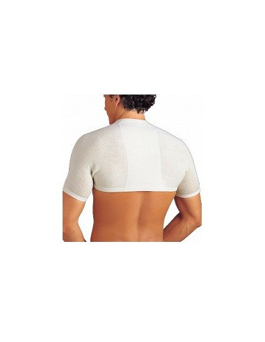 GIBAUD COPRISP ANAT 2