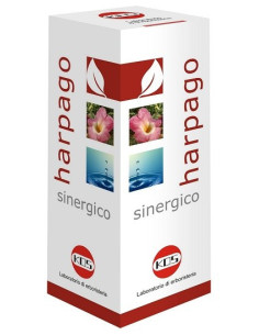 HARPAGO SINERGICO GTT 100ML