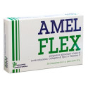 AMELFLEX
