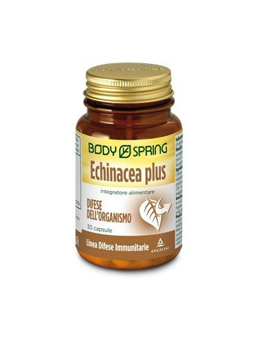 BODY SPRING ECHINACEA P 30CPS
