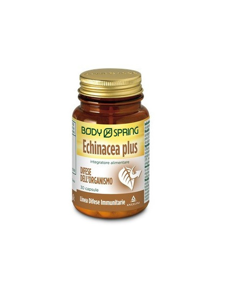BODY SPRING ECHINACEA P 30CPS