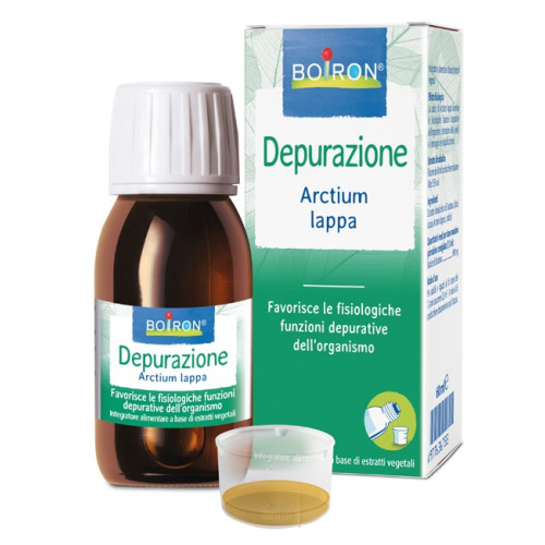 ARCTIUM LAPPA BOI AND I 60ML INT