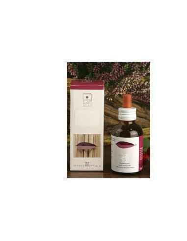 CARPINUS BETULUS 50ML STV