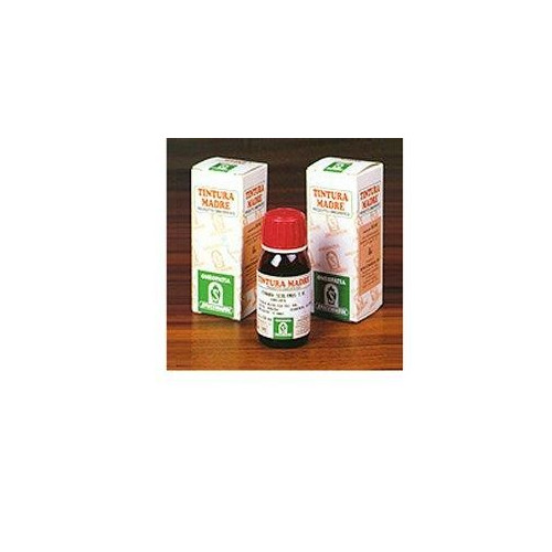 ARTIGLIO DEL DIAVOLO 35 TM50ML