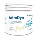 ARTRODYN 60 PORTIONS 275G