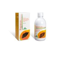 PAPAYA FERMENTATA 500ML