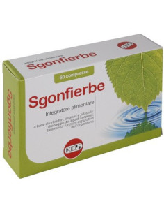 SGONFIERBE 60CPR