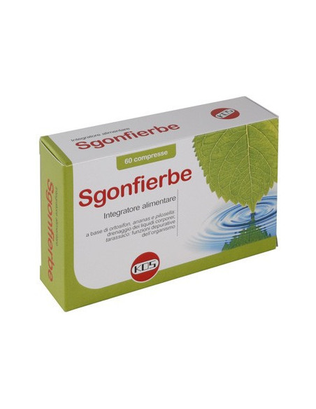 SGONFIERBE 60CPR