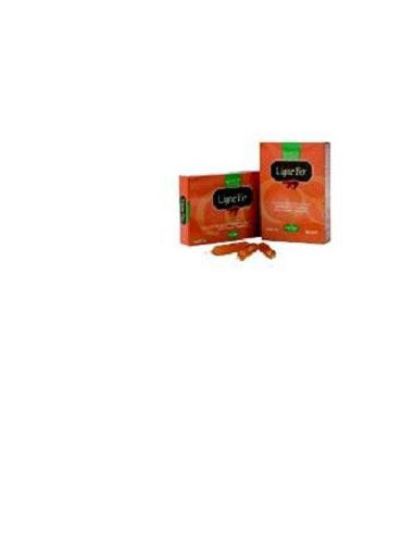 LIGNE FER 20 AMPOLLE 10ML